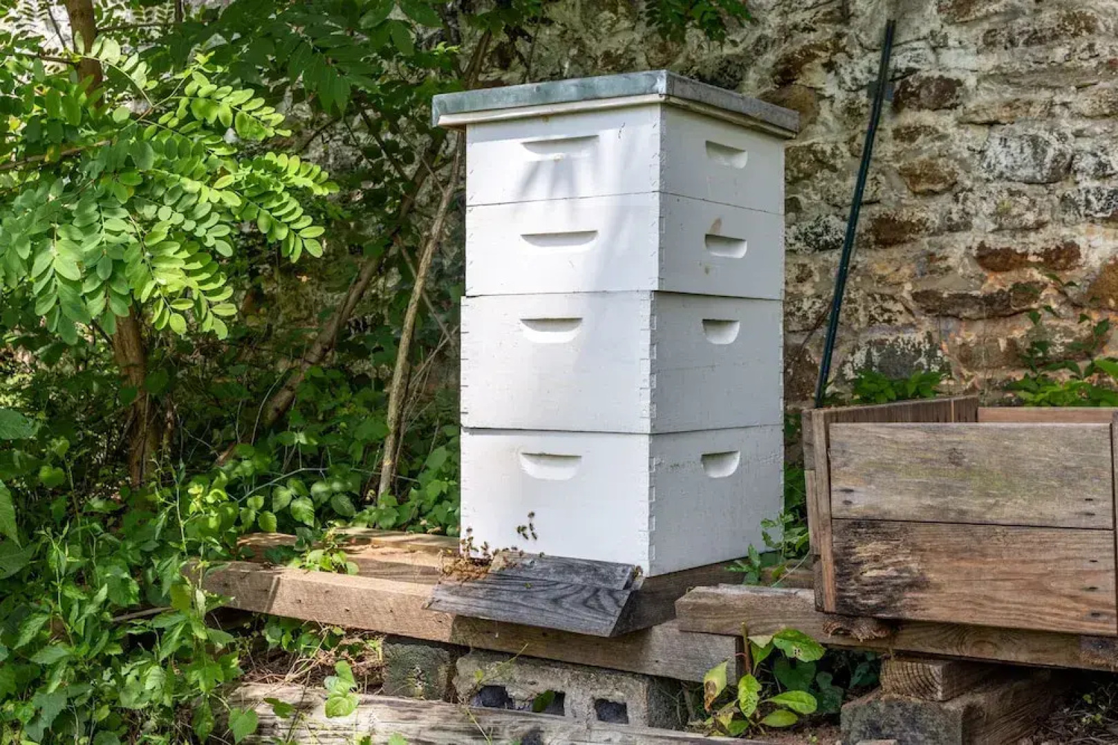 Bliss Point Farm and B&B