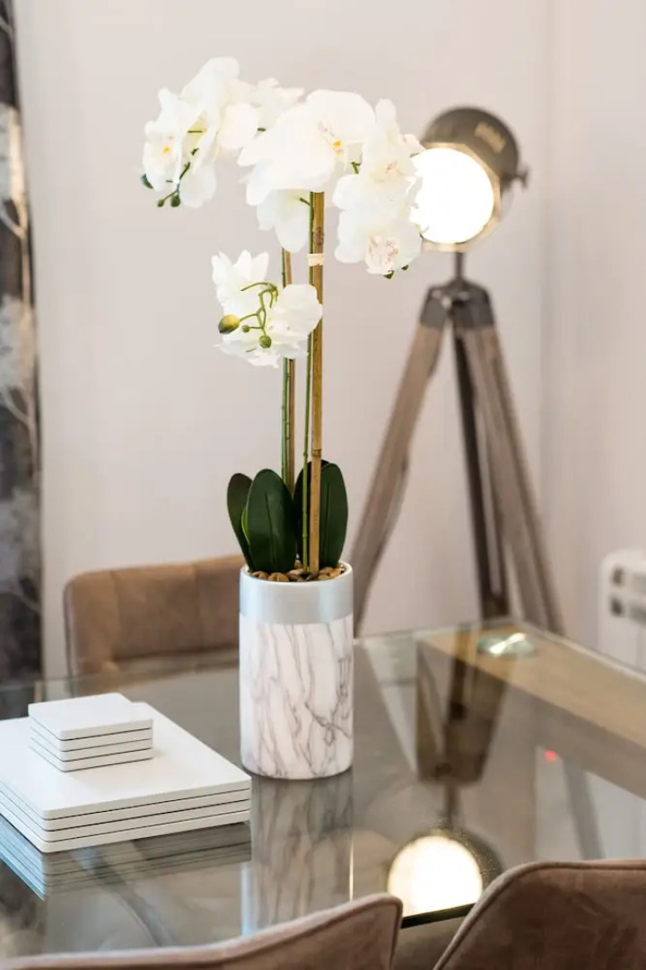 Otter With Mountain View and Enclosed Decking