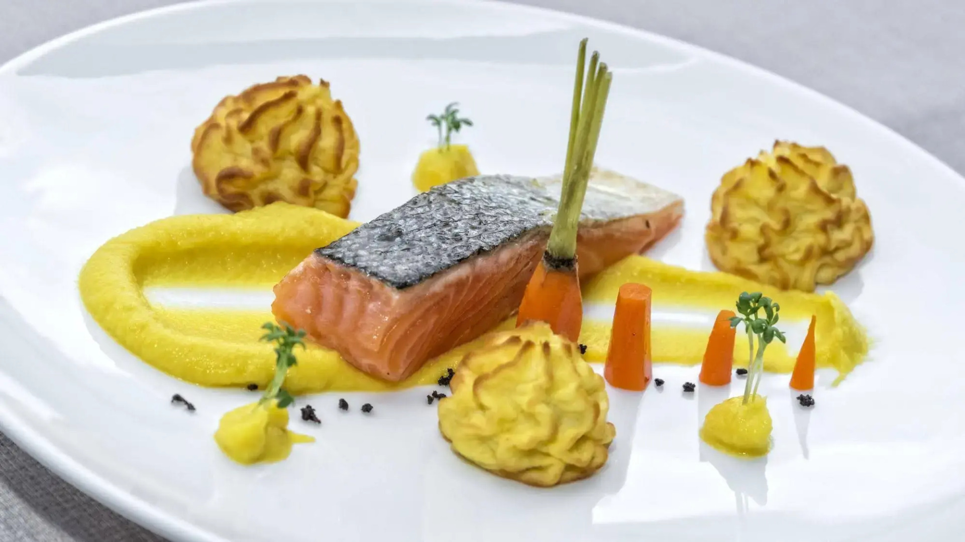 Avidea - Adults Only