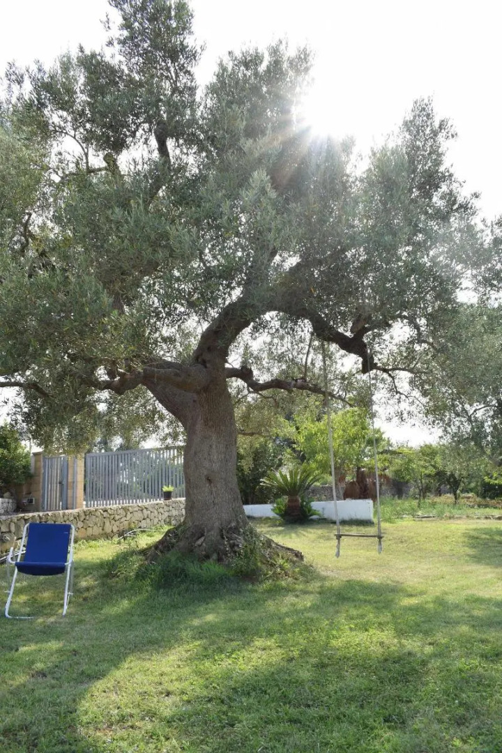 B&B La Casa Degli Artisti