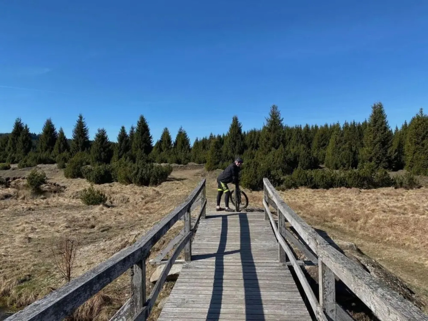 Yellow House Modern Retreat