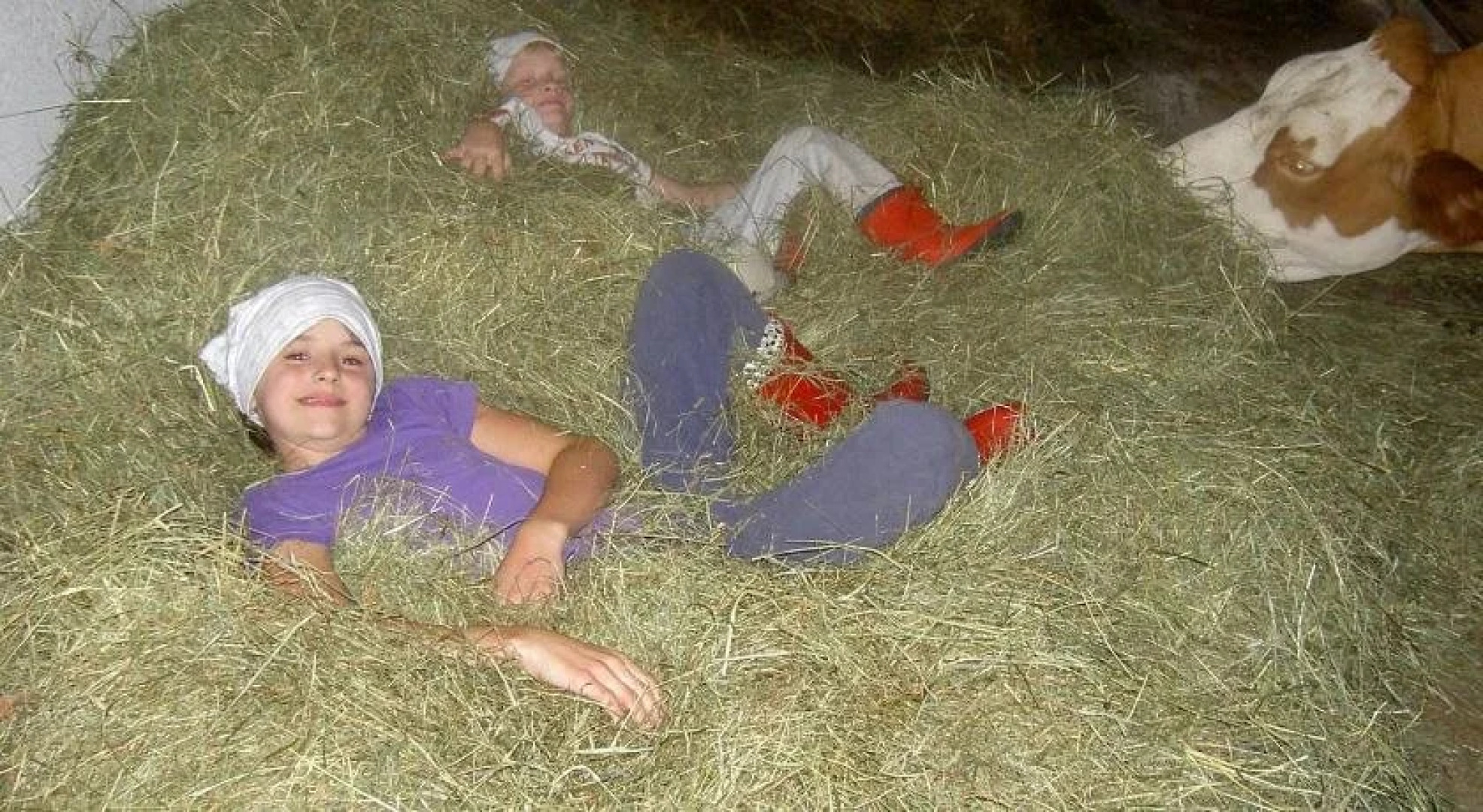 Urlaub am Bauernhof Wenigeder - Familie Klopf