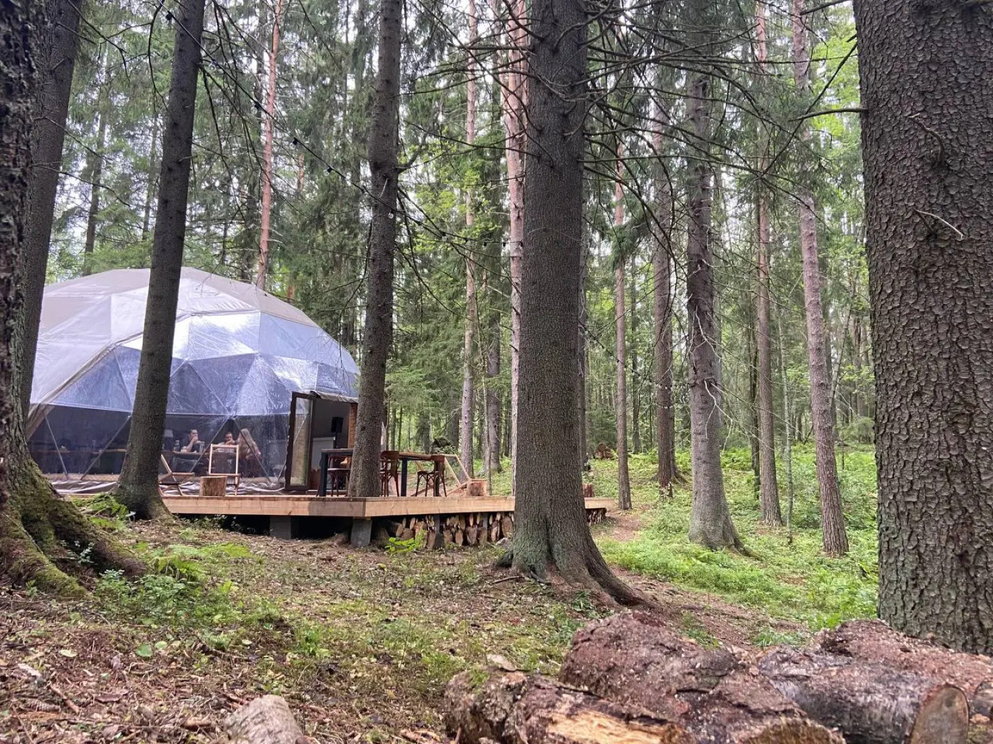 Вили Улей Карелия