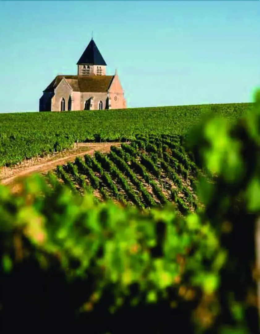 Les Chambres de Jean Marc Brocard