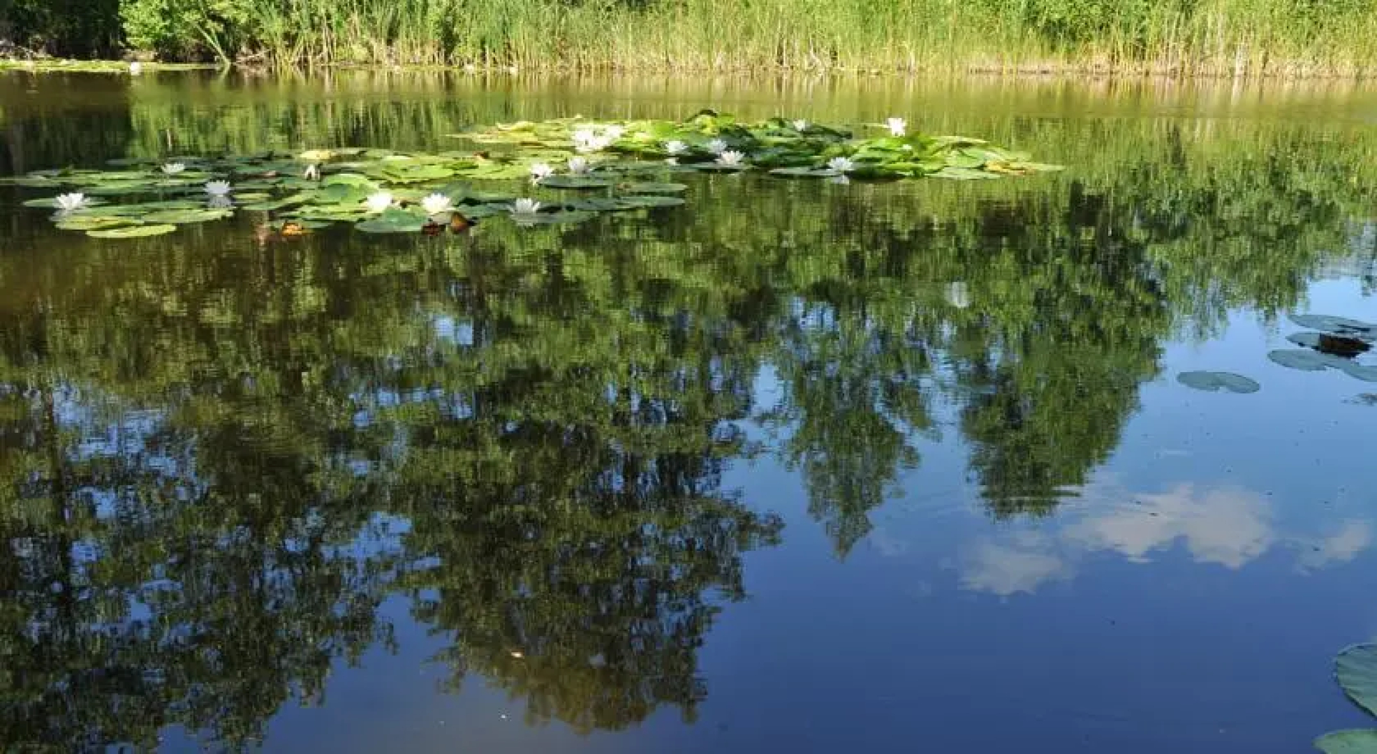 Pilliroo Puhkemaja