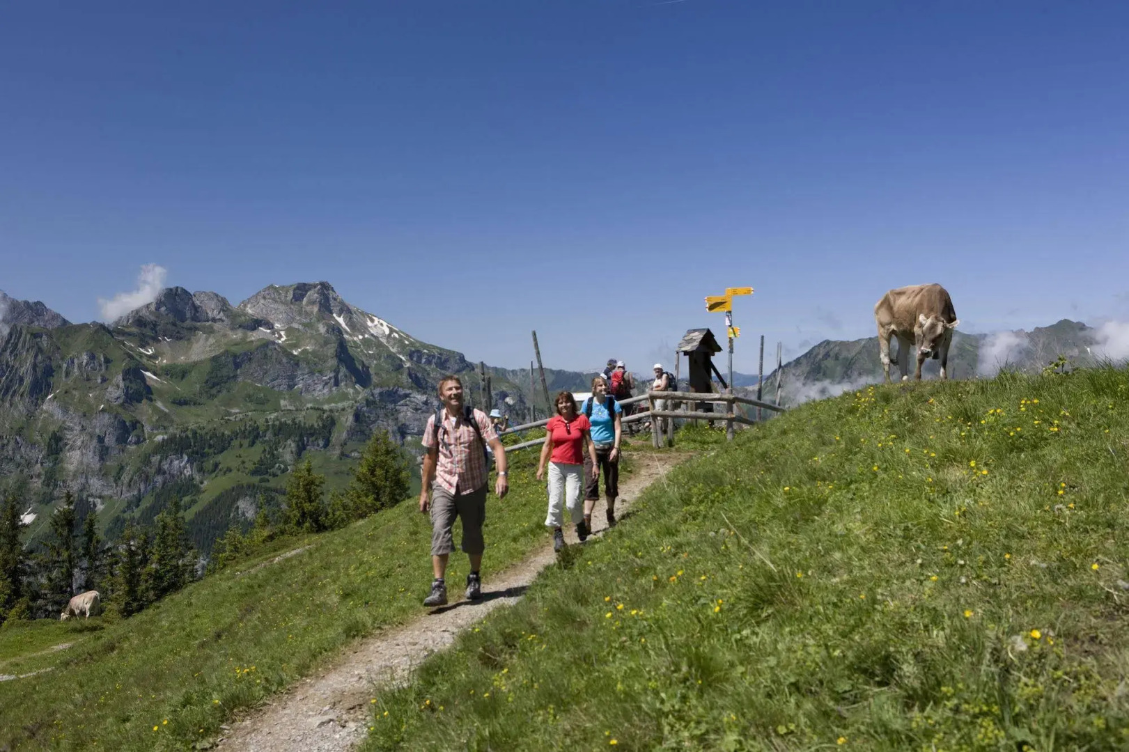 Berglodge Restaurant Ristis