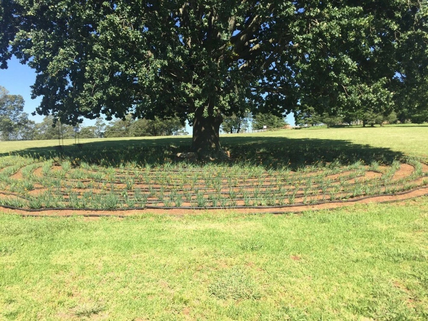 Lords of the Manor Boutique Hotel