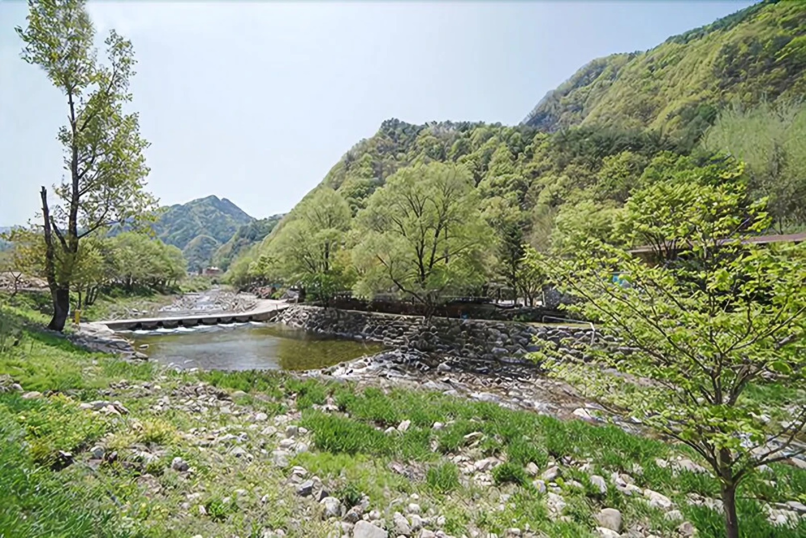 Danyang Wood Scented Pension