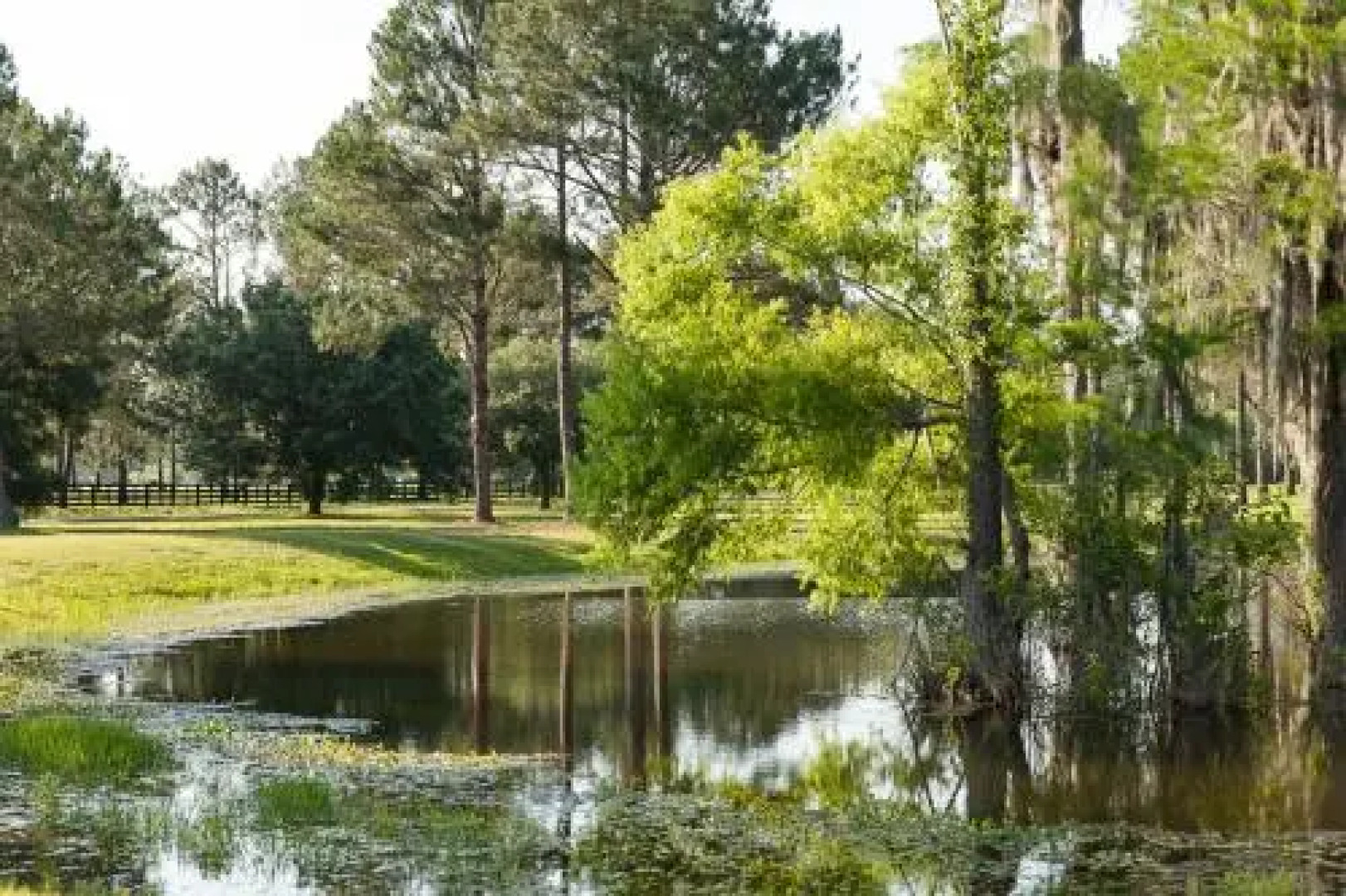Live Oak Bed And Breakfast