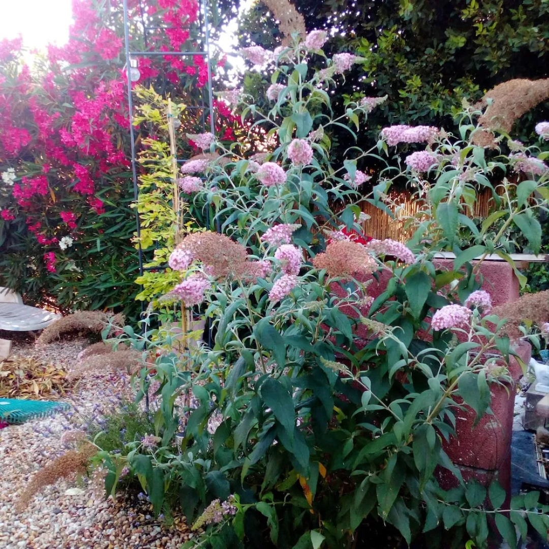 House With 2 Bedrooms in Eyguières, With Shared Pool, Furnished Terrace and Wifi