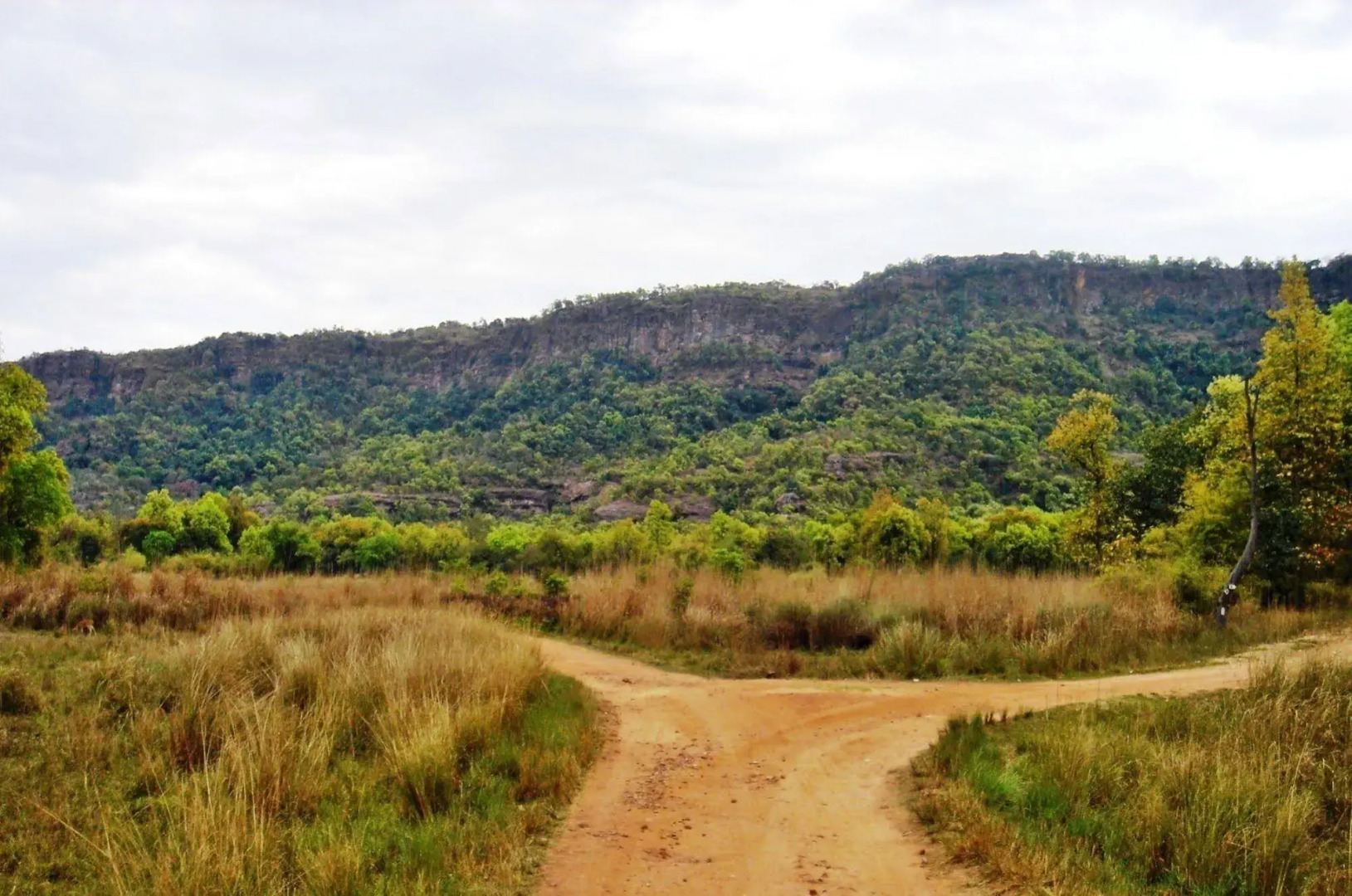 Tiger Trails Resorts