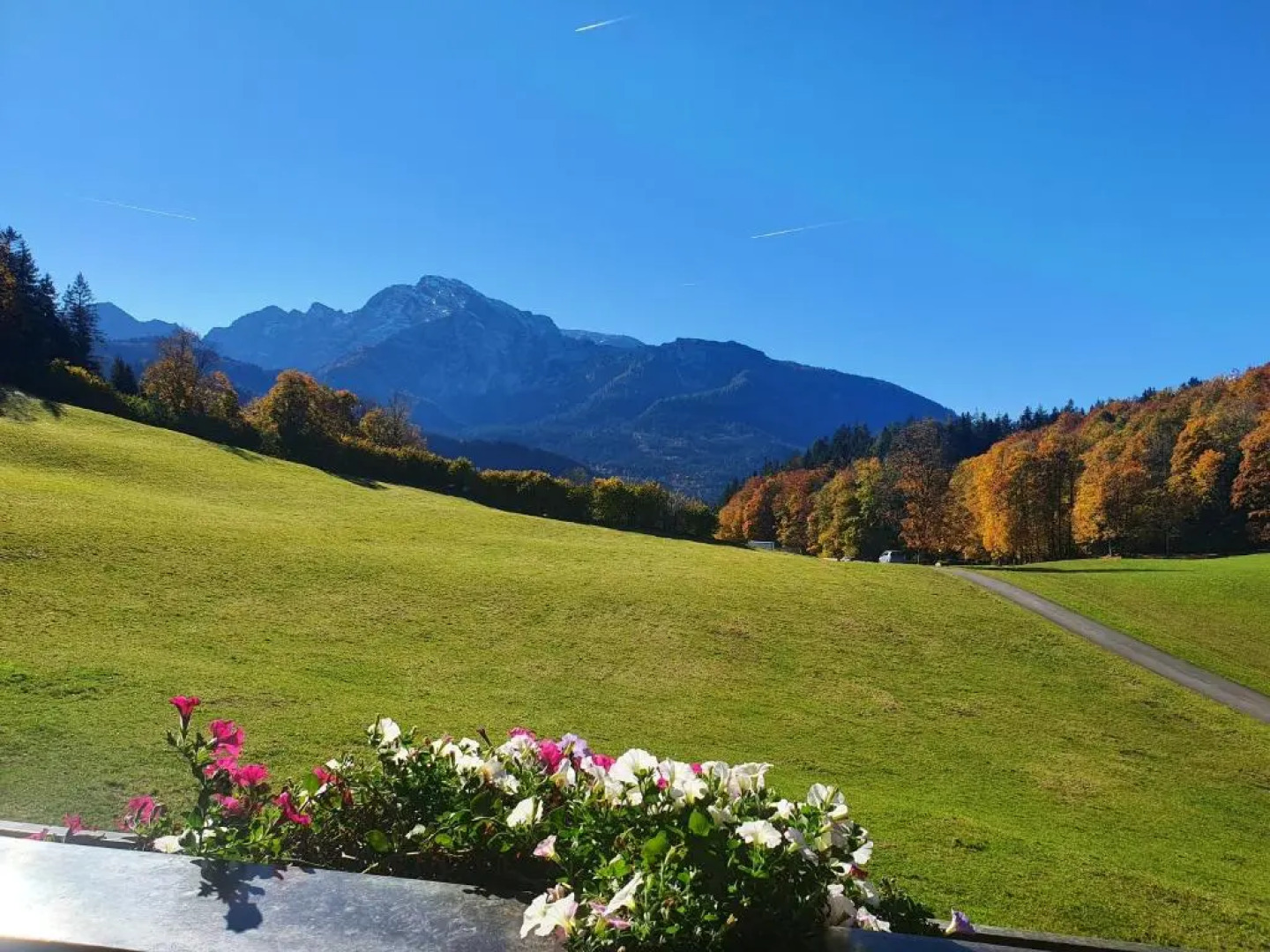 Ferienwohnungen Gästehaus Lärcheck