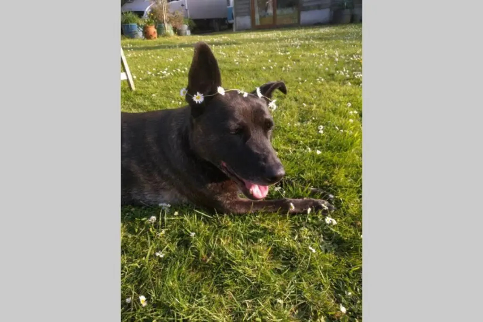 Stags View,Unique eco cabin, Dartmoor views