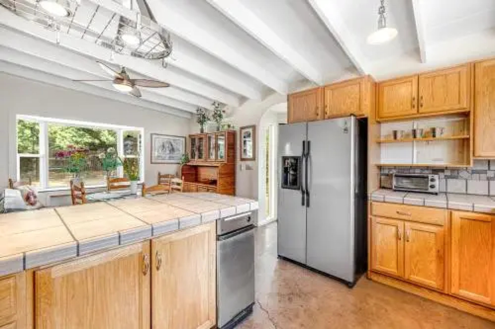 Mendocino Dunes Sand Dollar