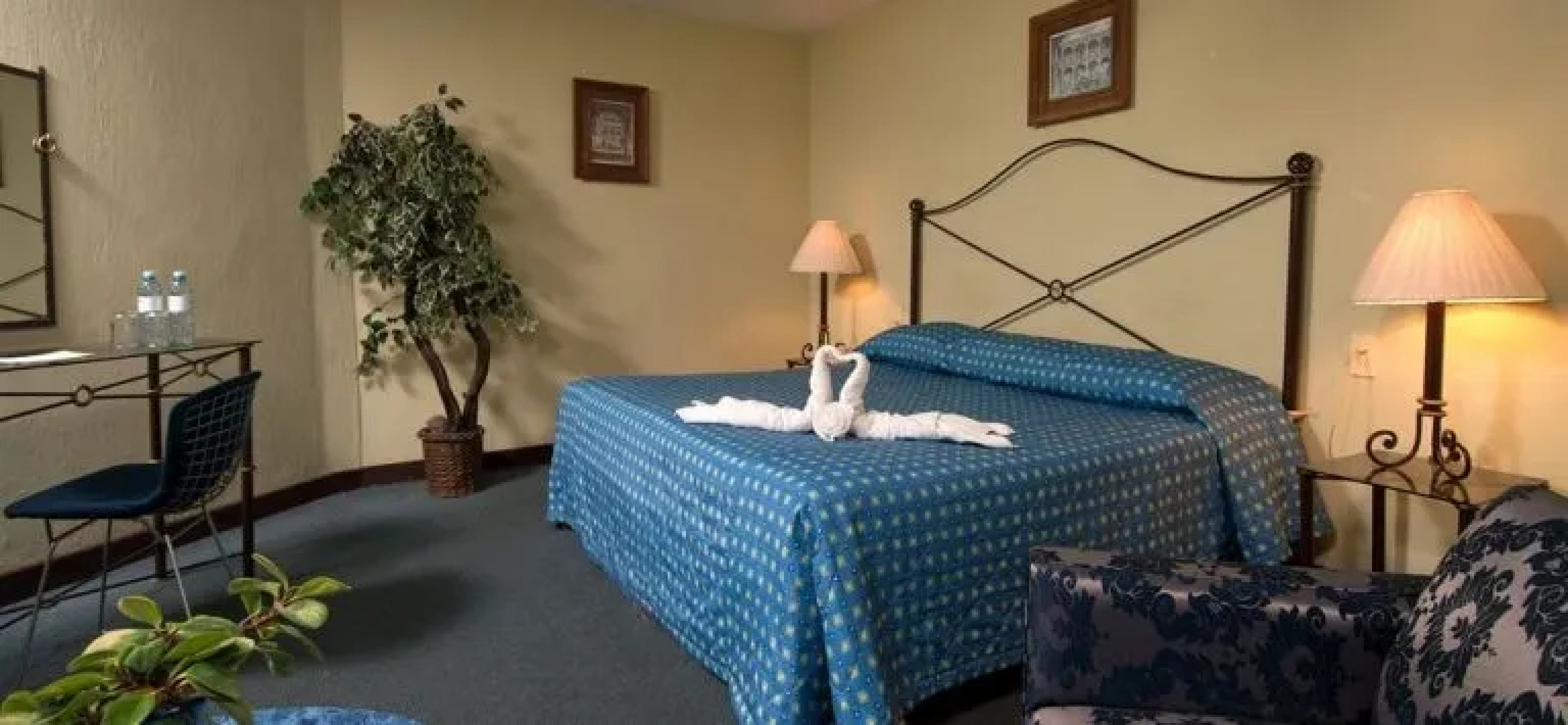 Vista Junior Guadalajara