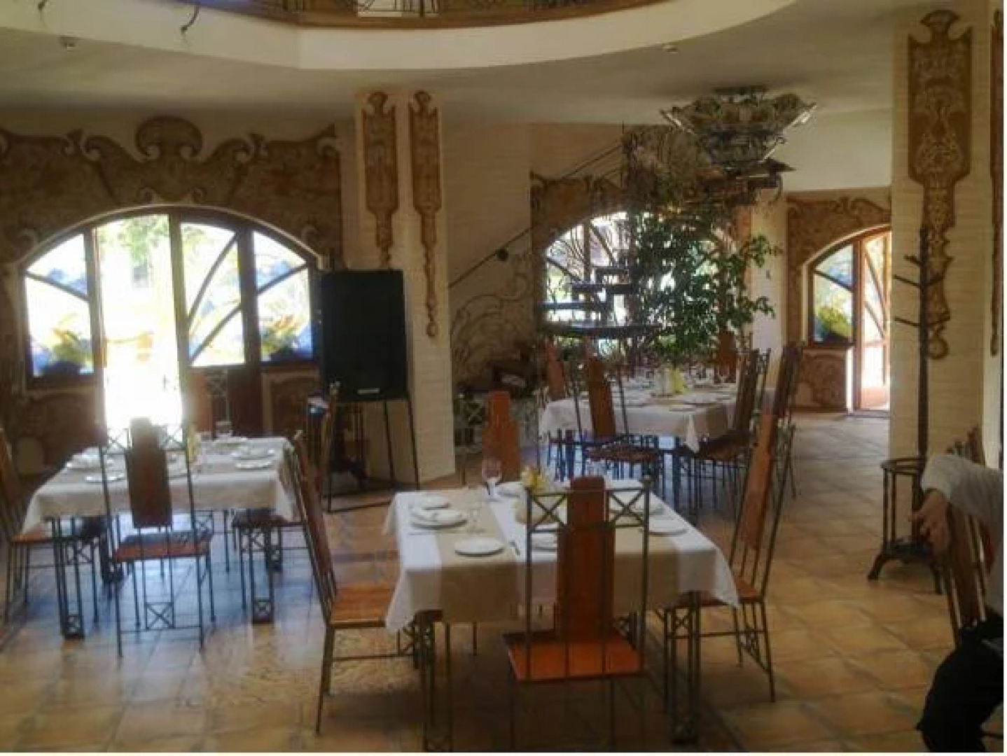 Червона Рута