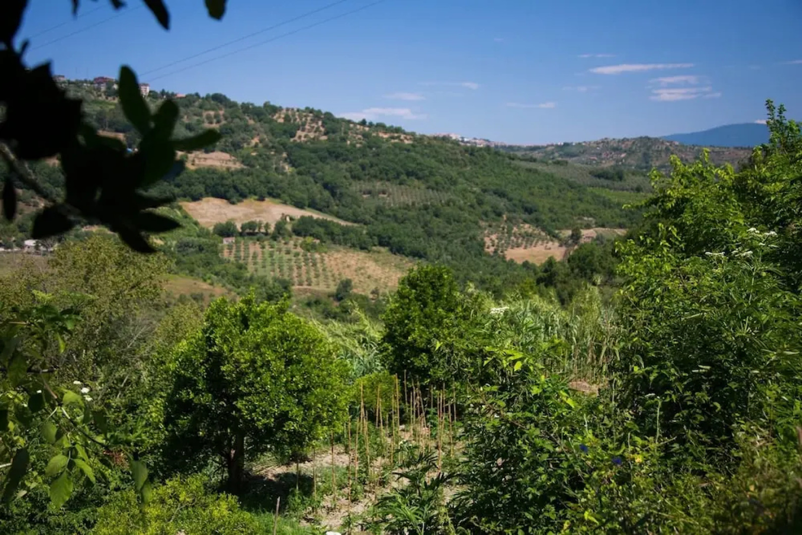 Country House I Tre Tigli