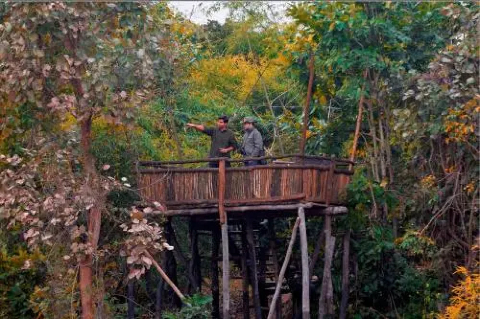 Tree House Hideway Bandhavgarh