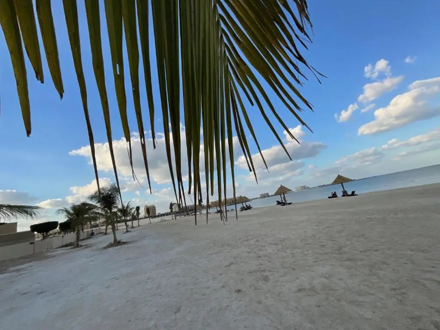 Amazing 1 Bedroom Apartment Next To The Beach