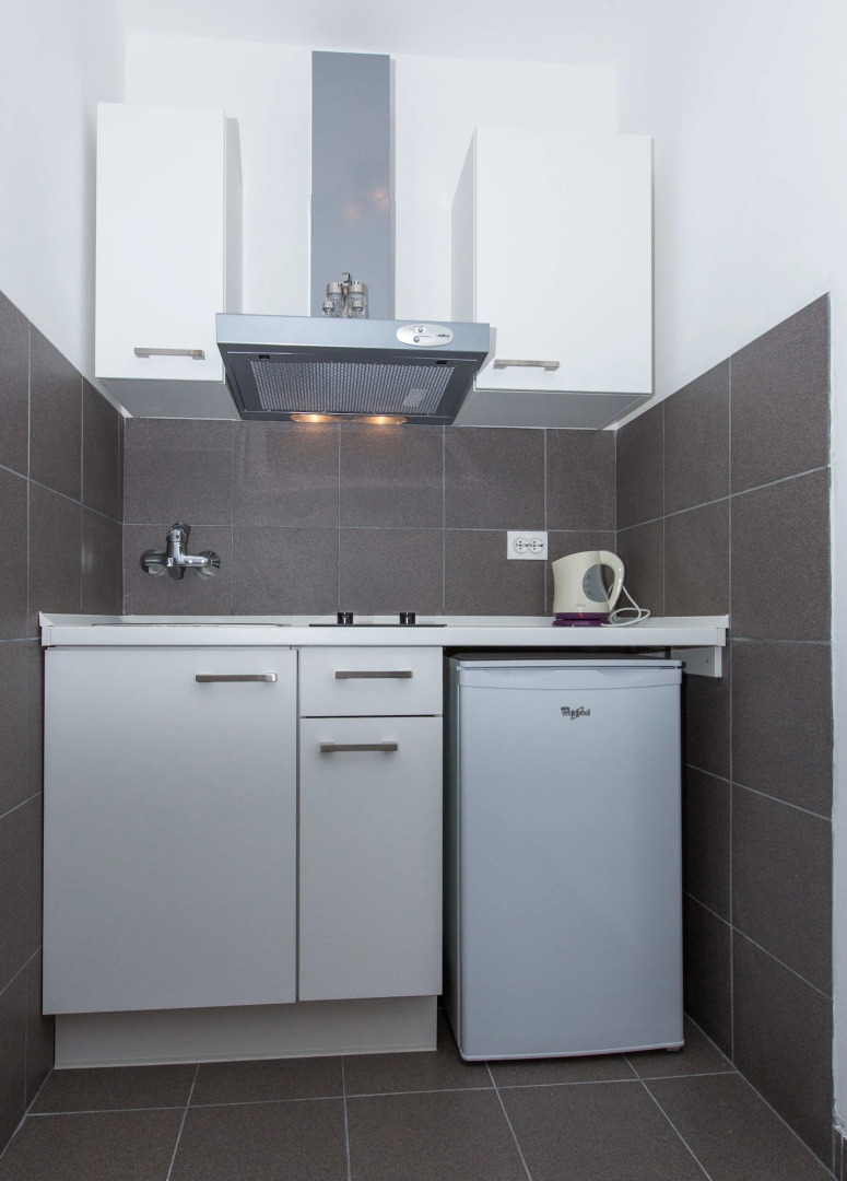 Apartments Villa Roza