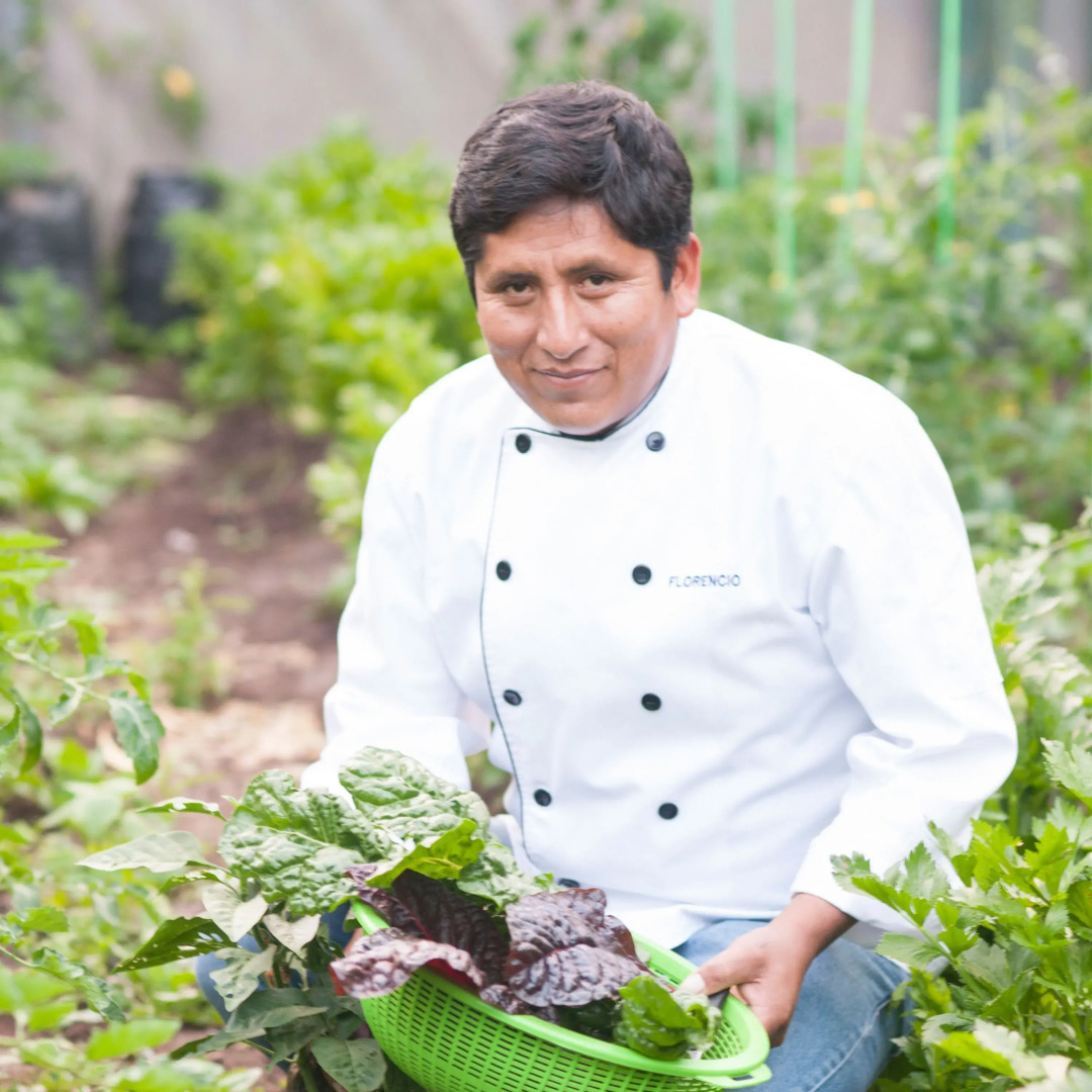 Willka T'ika Essential Wellness