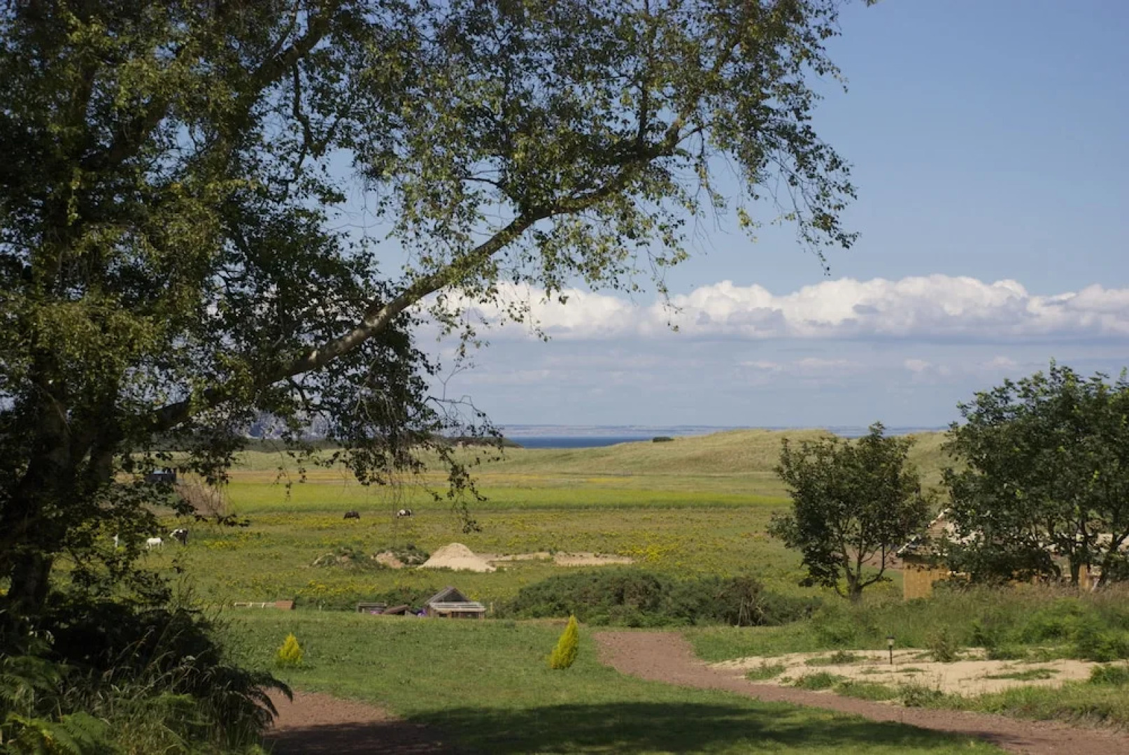 Harvest Moon Treehouse