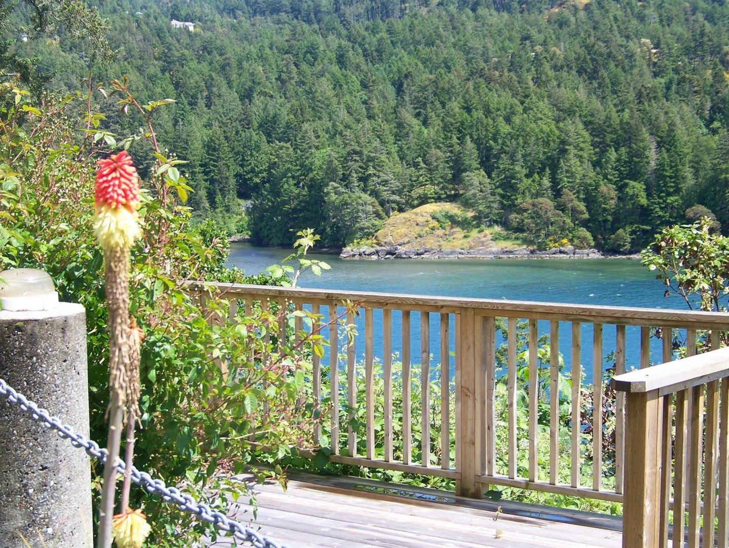 Moonlit Cove B&B