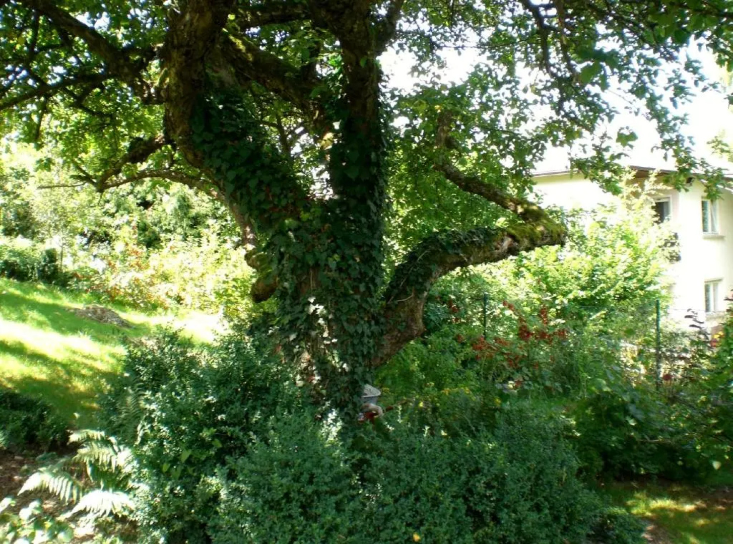 Gästewohnung Bed and Breakfast Hering in Dill