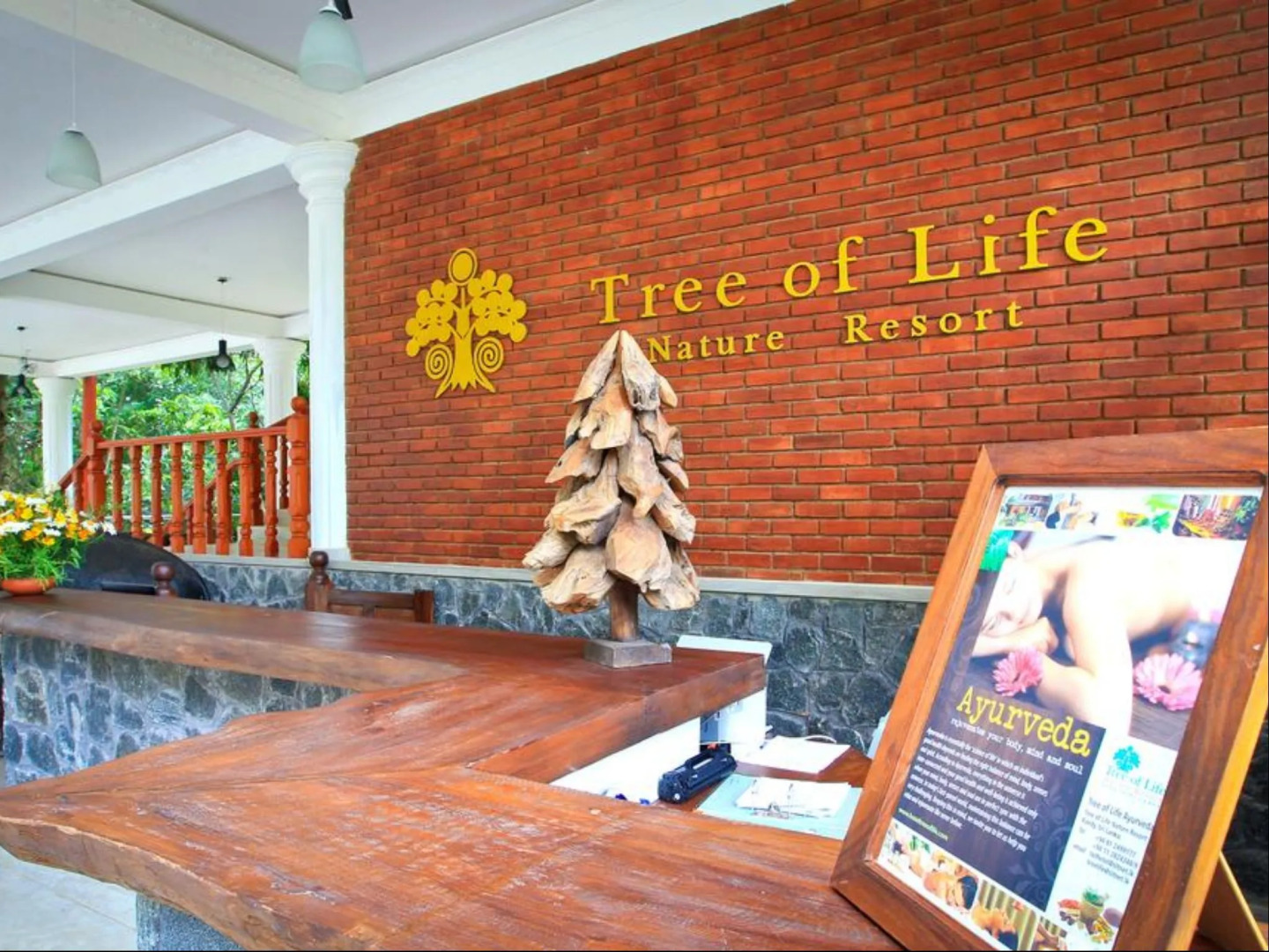 Xotic Resort