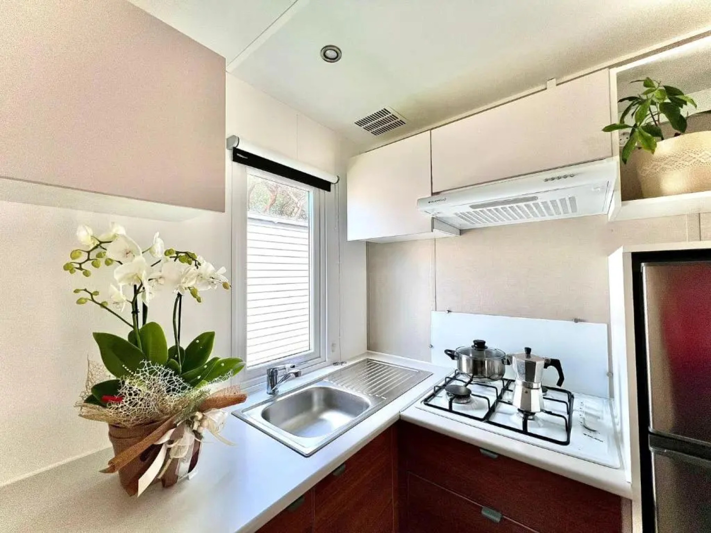 Camping Village Tuscia Tirrenica