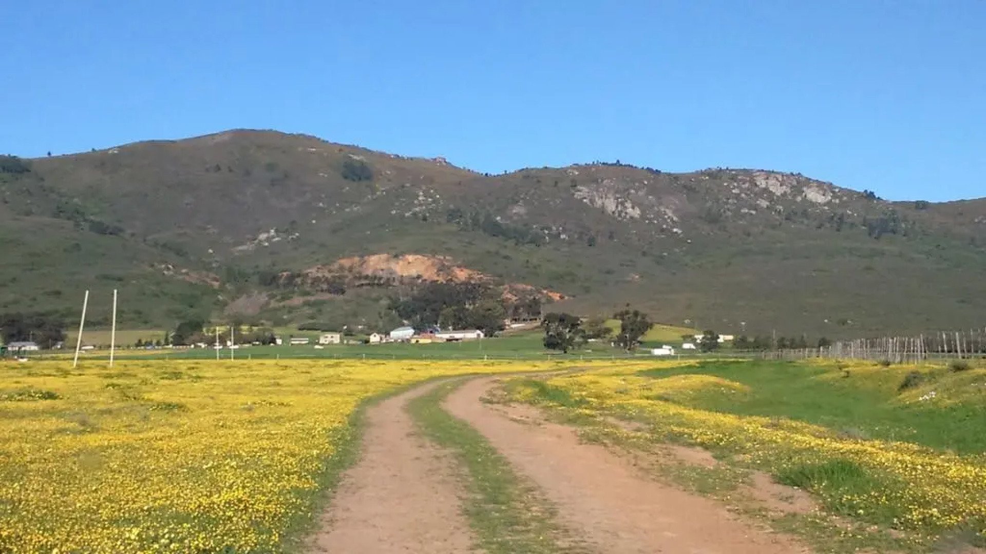 Paarl Diamant Equestrian and Guest farm