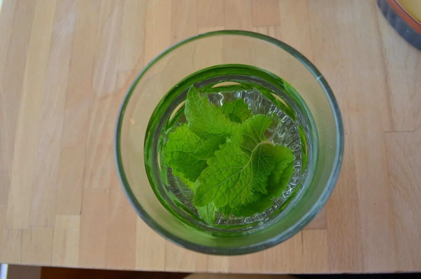 The Cloan At The Catlins