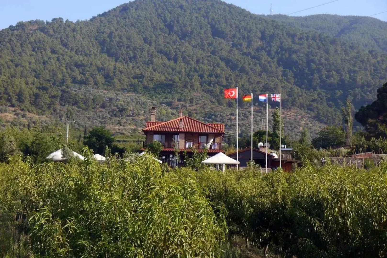 Naturalife Farm Hotel