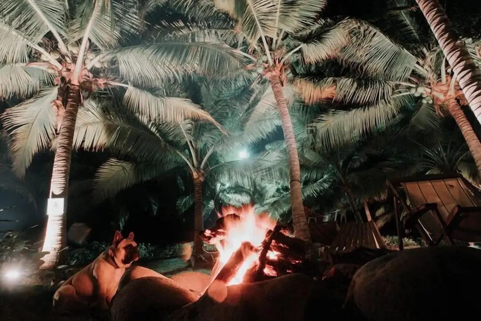 Cocori Lodge Monterrico