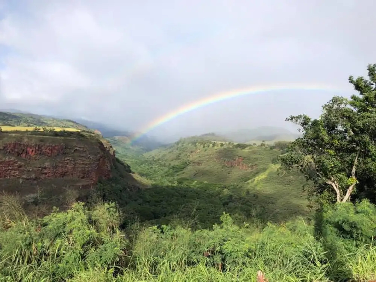 Kauai Villas at Poipu Kai E211 by Coldwell Banker Island Vacations