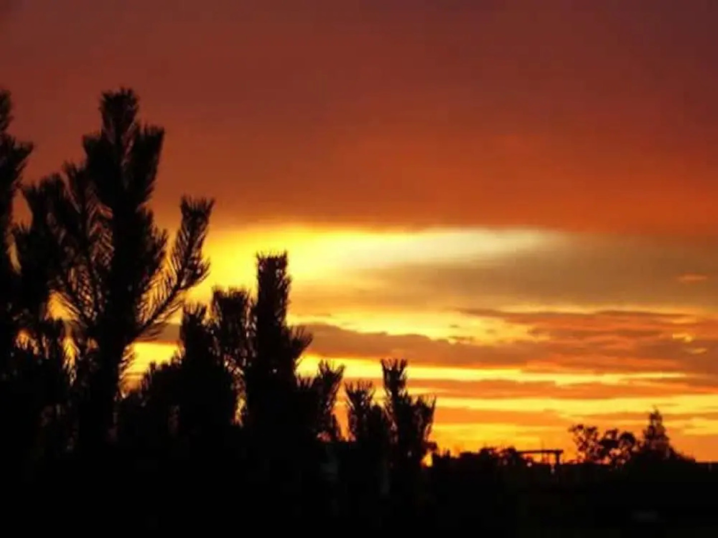 Adobe and Stars Bed and Breakfast