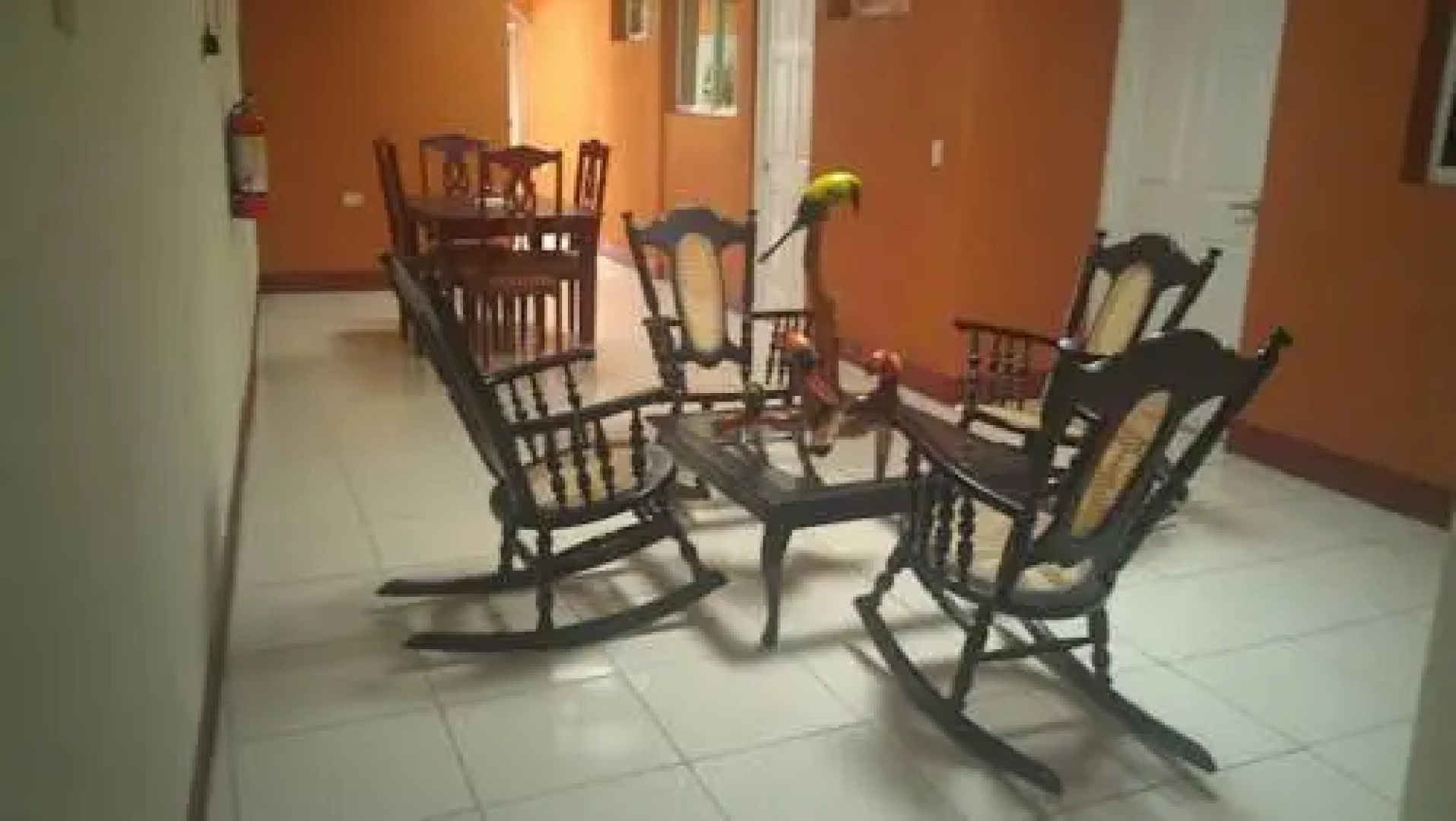 Hostal Calle Real