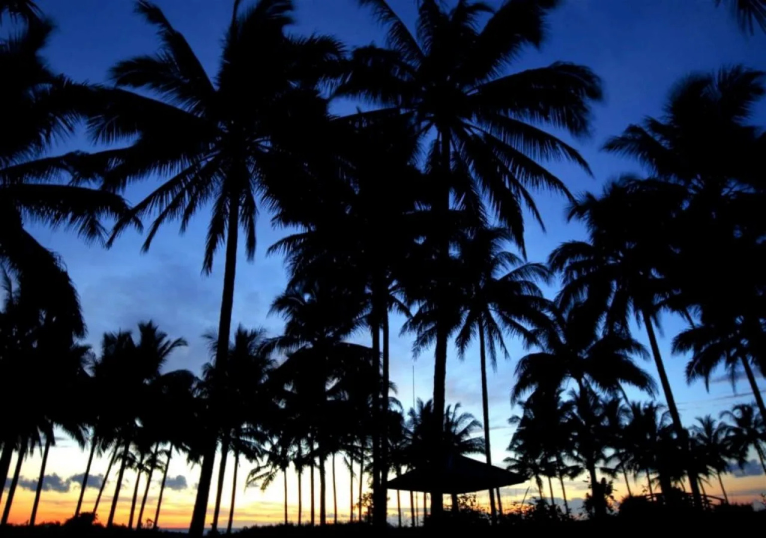 The Acacia Hotel Anyer