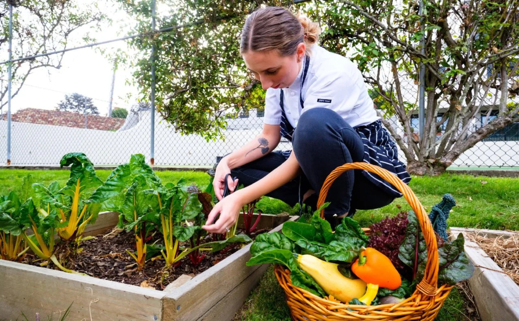On The Point - Lake Rotorua