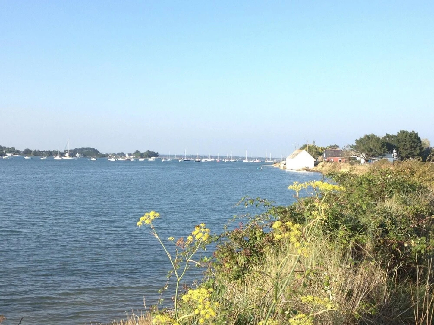 Apartment With 2 Bedrooms in Muzillac, With Private Pool, Enclosed Gar