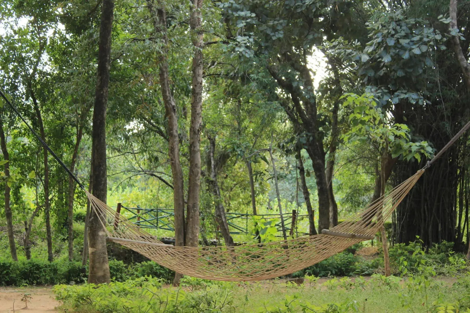 Tiger Trails Resorts