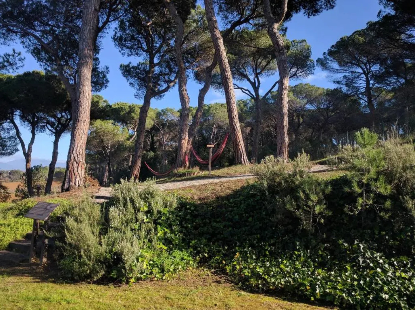 Augusta Barcelona Vallés