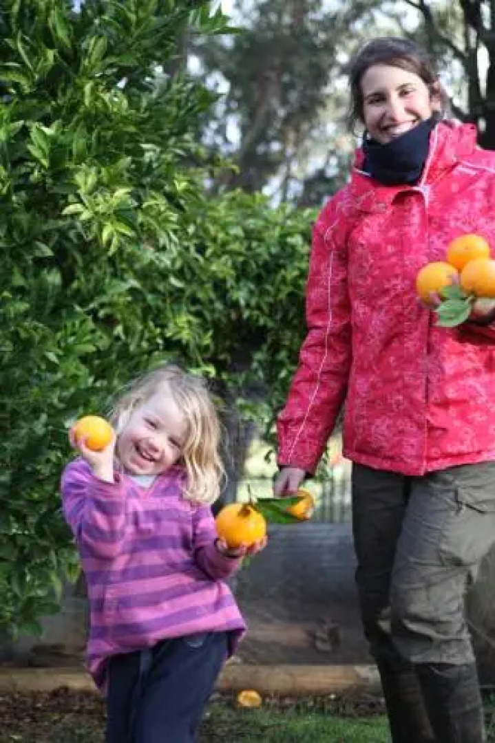 Chestnut Brae Farmstay