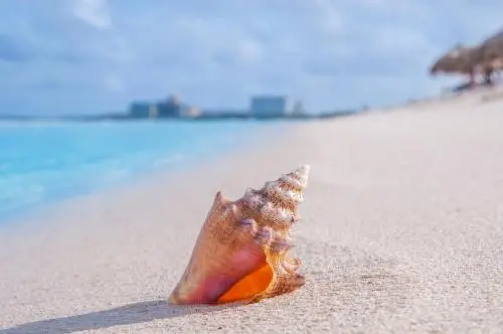 Townhouse Eagle Beach