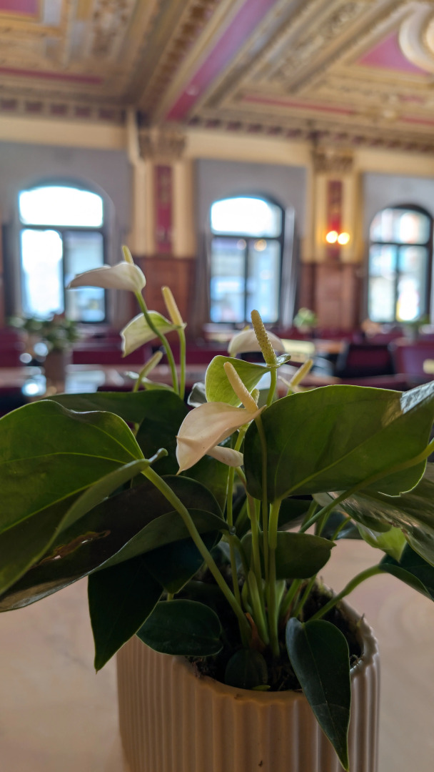 Hotel Harder Minerva