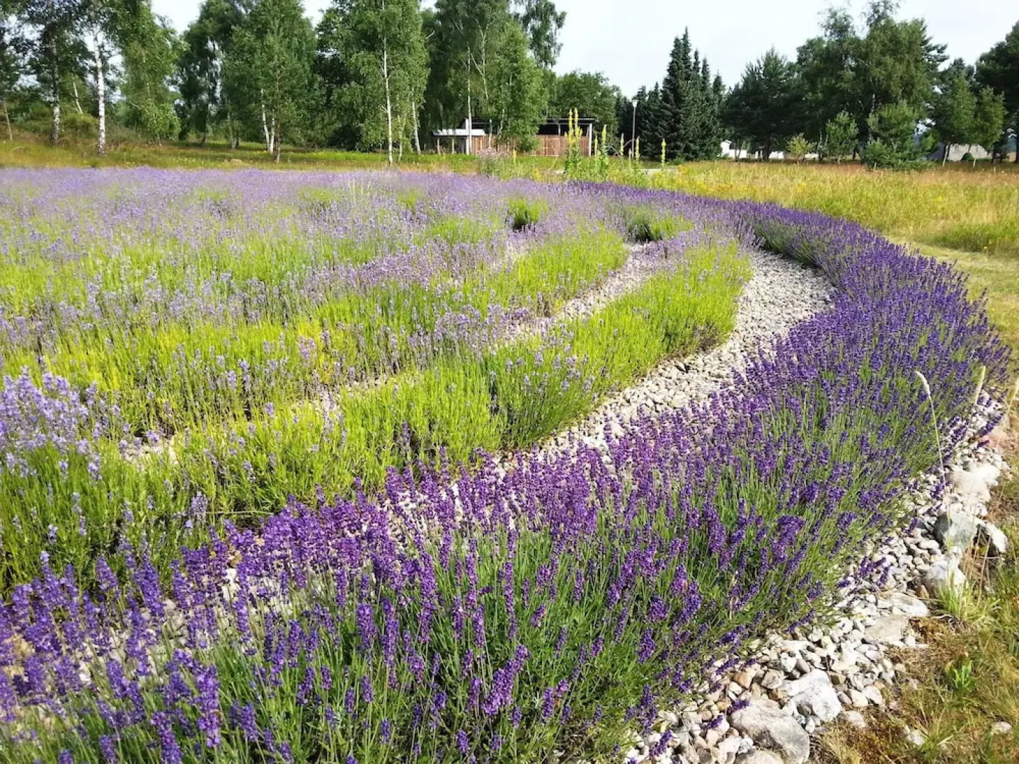 Camp Reinsehlen Hotel