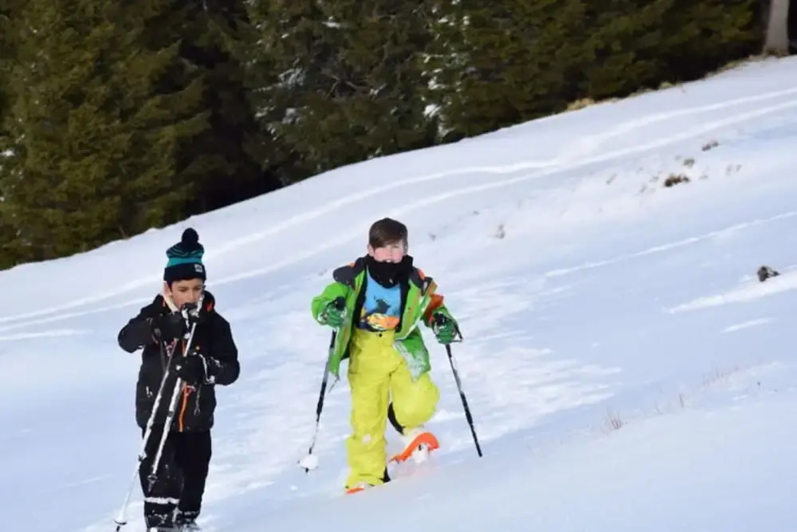 Holiday Apartment Allgauer Alpenblick