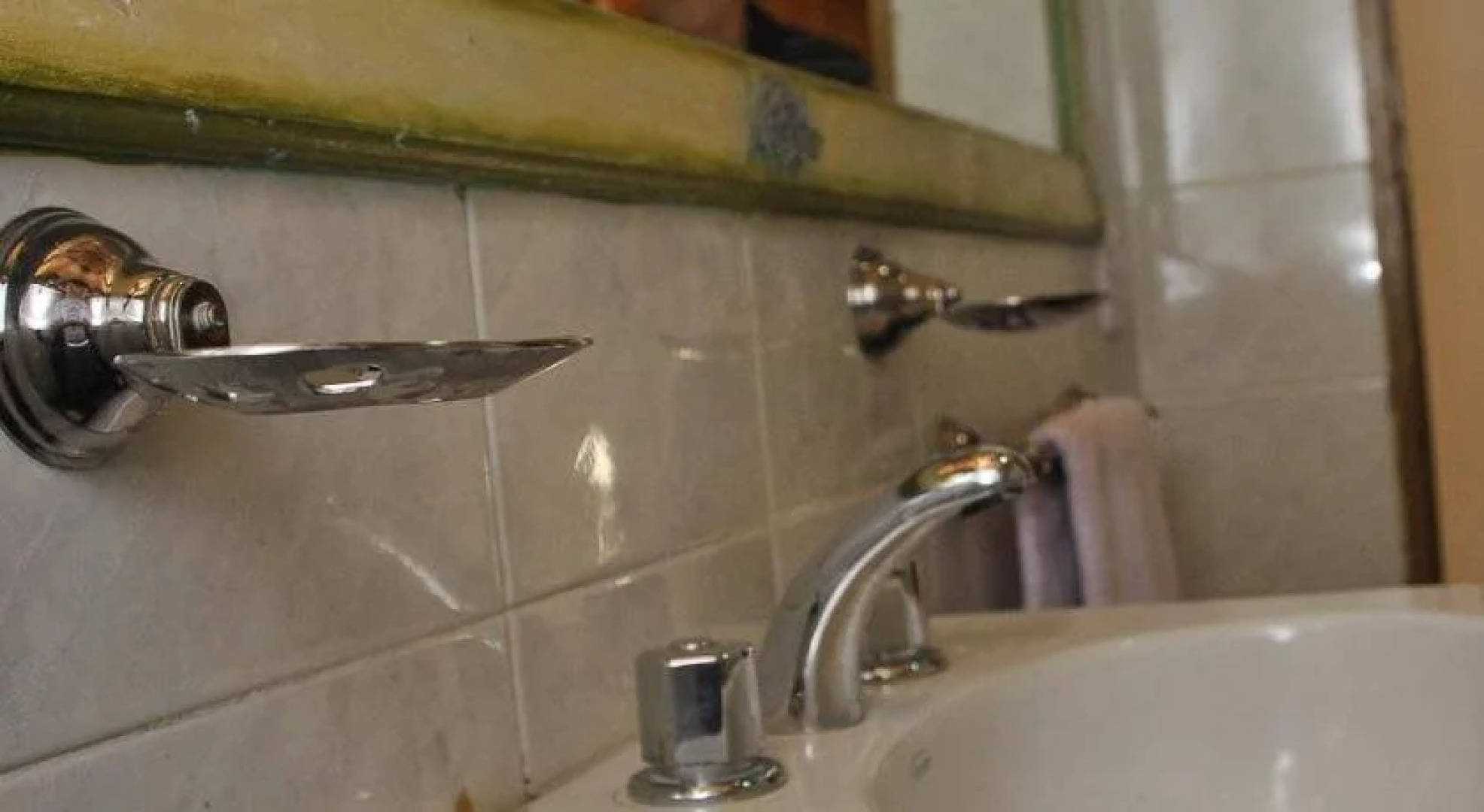 Casa Departamento en el Bosque