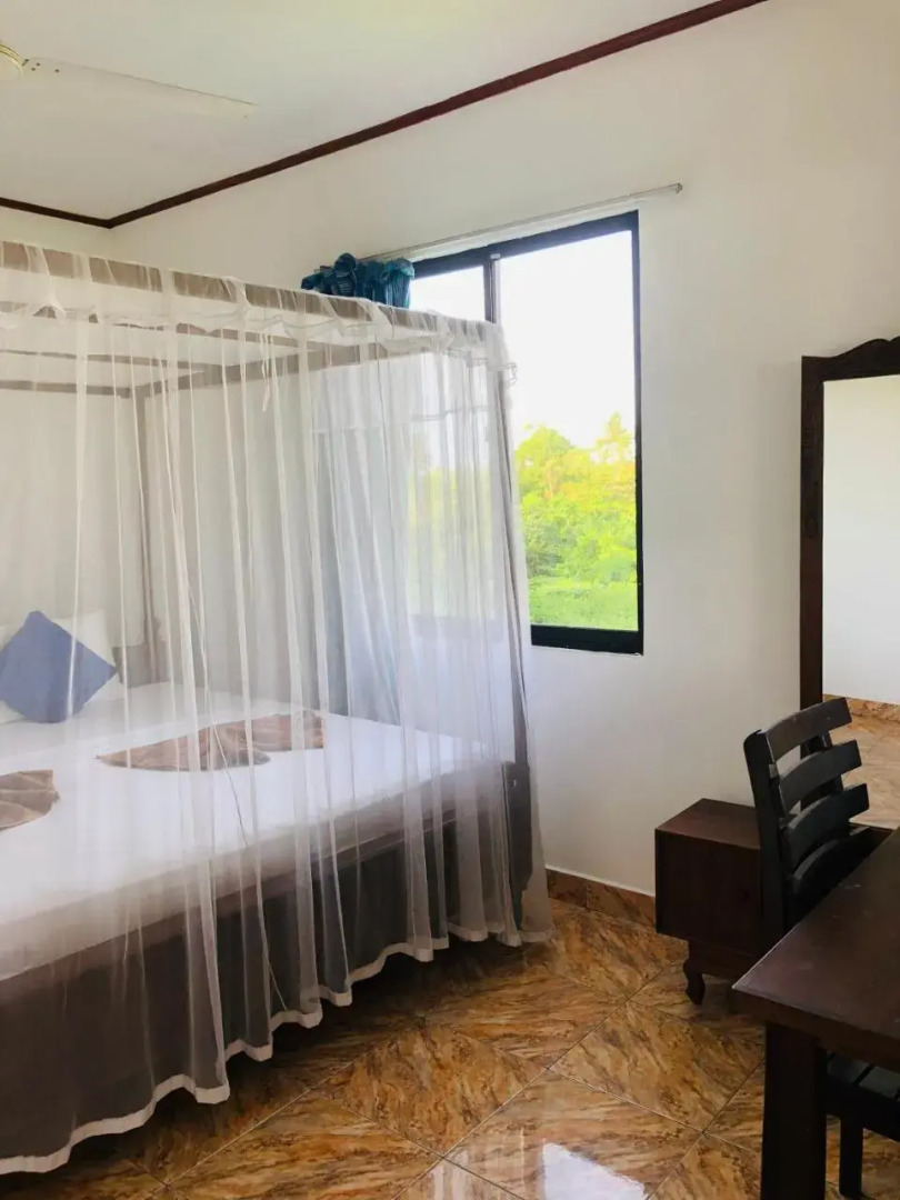 Surf Paradise & Cabana