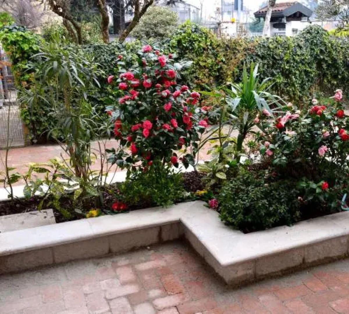 Appartamenti Leonardo